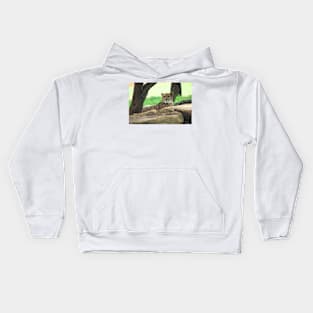 Cheetah On The Rocks Kids Hoodie